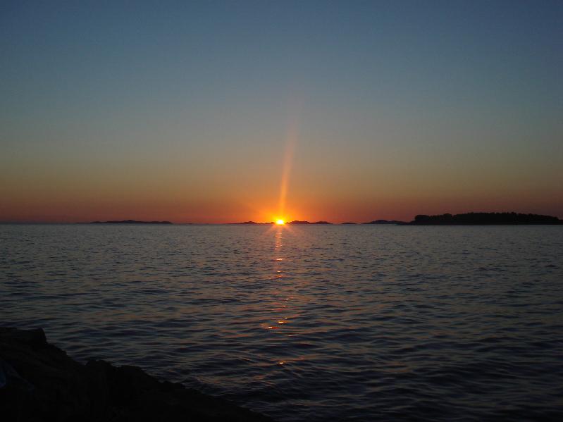 DSC01495.jpg